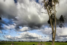 热刺锋线实力提升，多次进球带领球队胜利