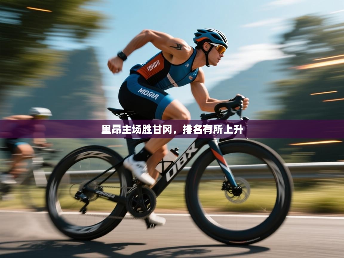 里昂主场胜甘冈,排名有所上升 第2张