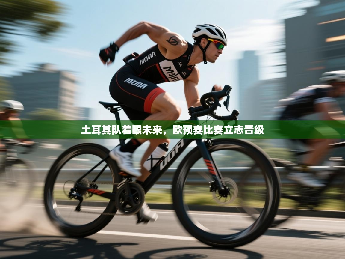 土耳其队着眼未来,欧预赛比赛立志晋级 第1张