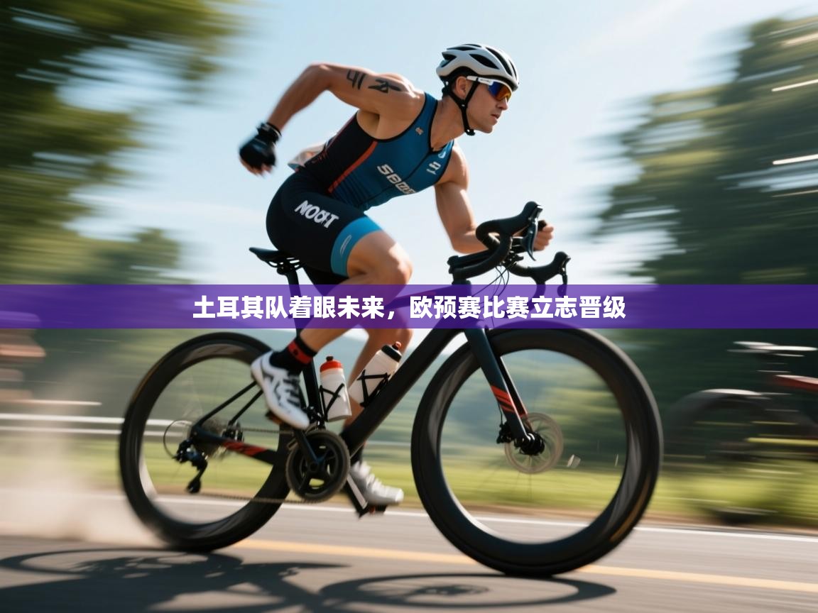 土耳其队着眼未来,欧预赛比赛立志晋级 第2张