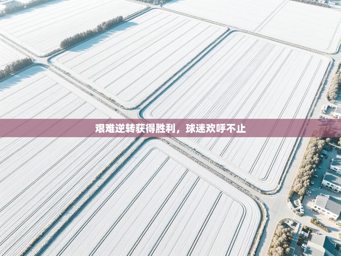 艰难逆转获得胜利，球迷欢呼不止  第2张