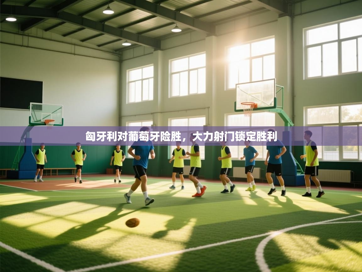 匈牙利对葡萄牙险胜，大力射门锁定胜利  第1张