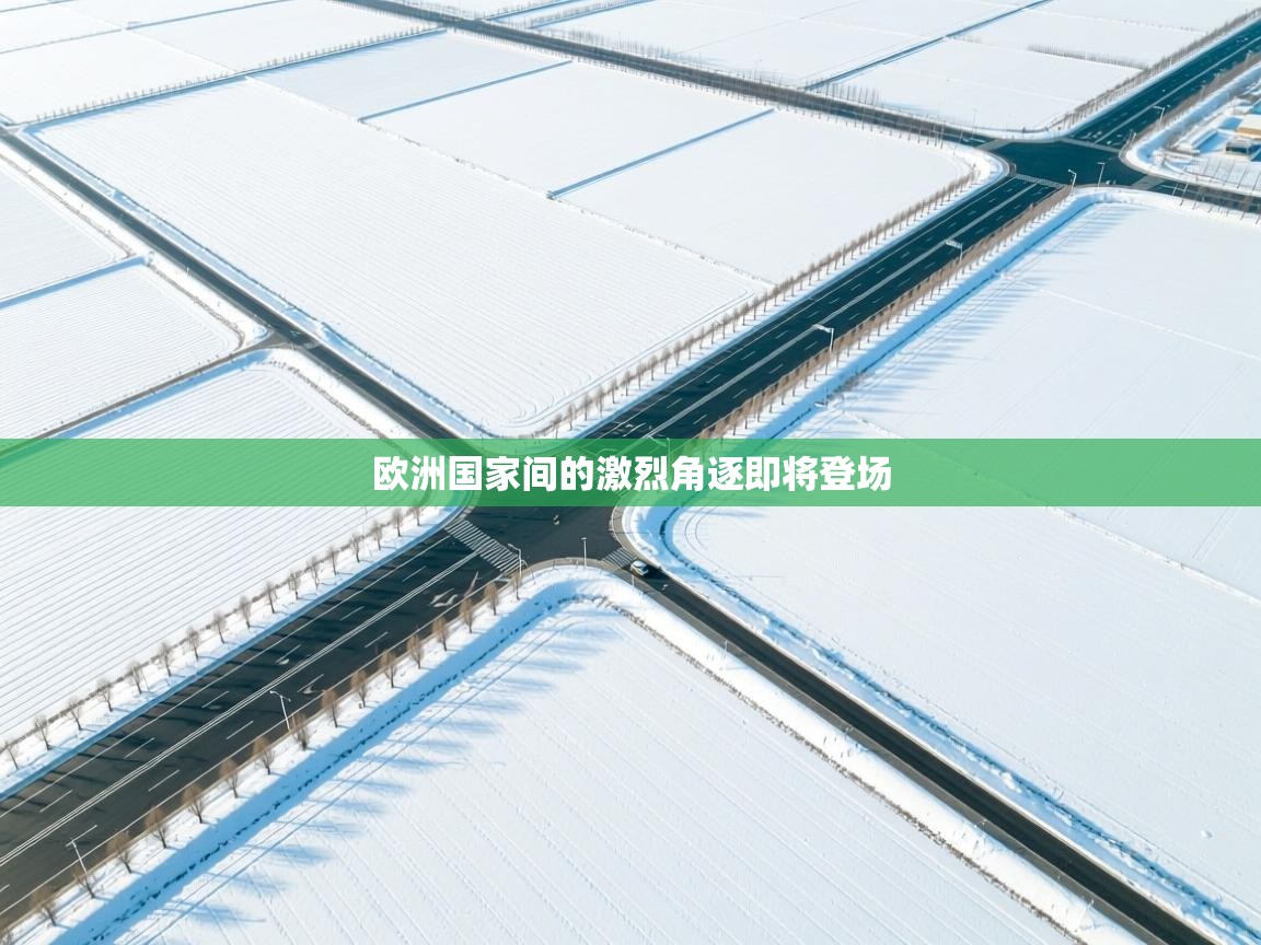 欧洲国家间的激烈角逐即将登场  第2张