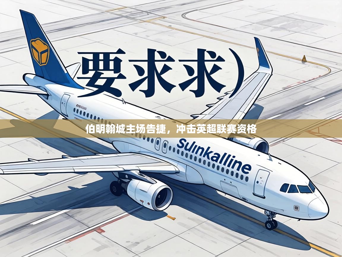 伯明翰城主场告捷,冲击英超联赛资格 第2张