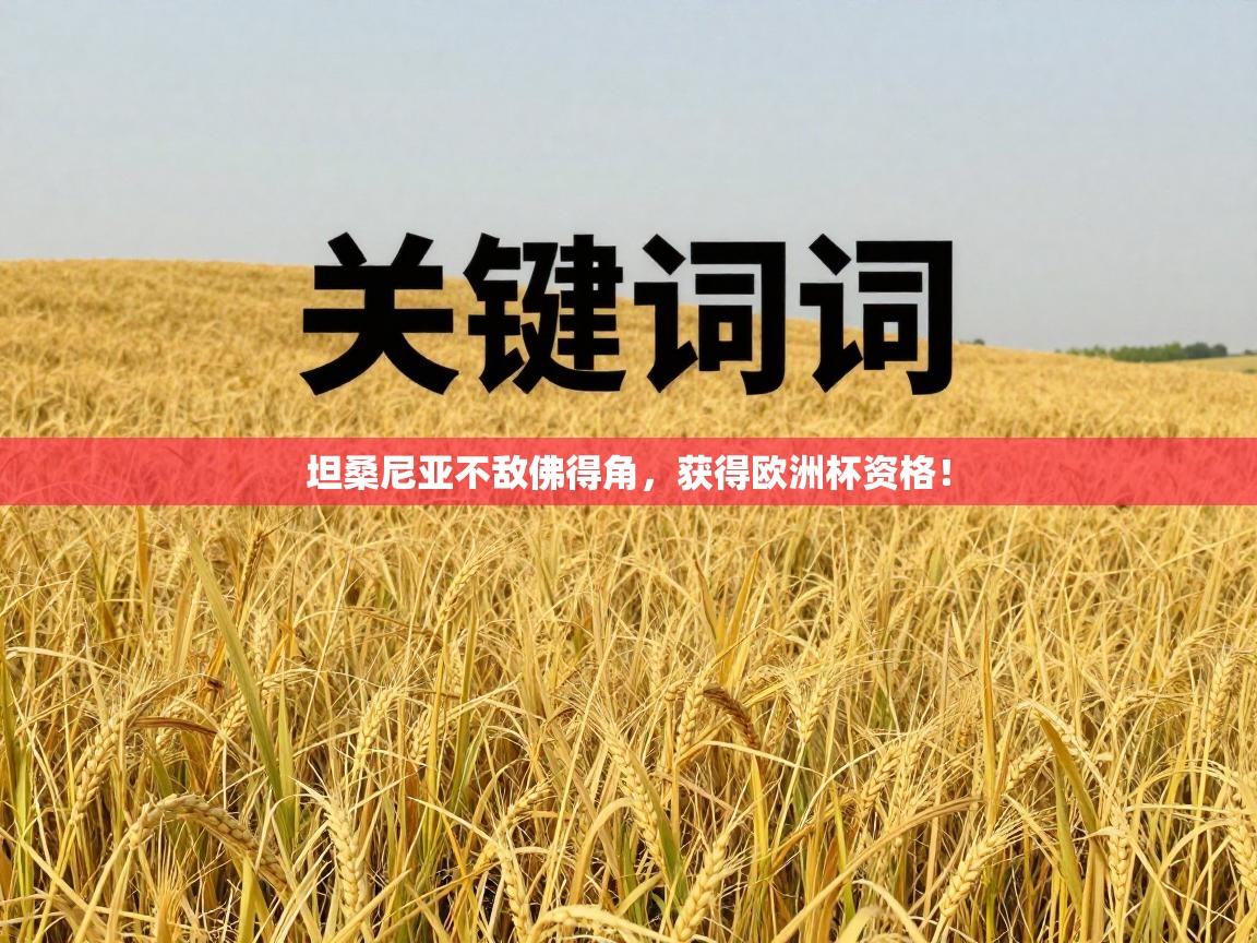 坦桑尼亚不敌佛得角，获得欧洲杯资格！  第2张